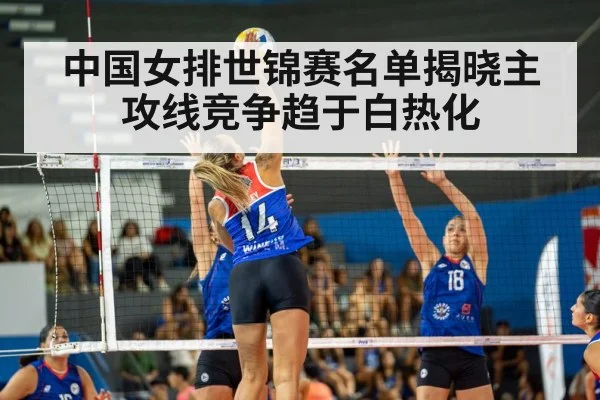 volleyball match action